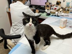 -美联众合动物医院·24h转诊中心