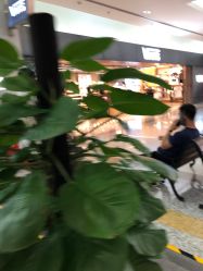 -欧扬医疗美容
