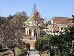 -报恩禅寺