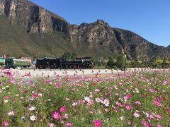 -百里峡七彩艺术小镇