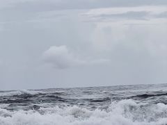 -黄金海岸