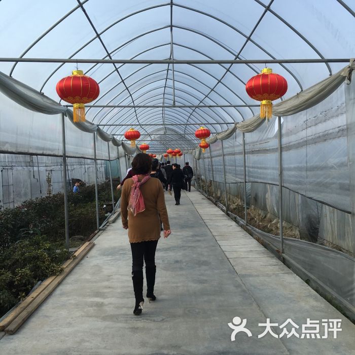 万奥农庄草莓采摘-图片-海盐县休闲娱乐-大众点评网