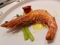-诺莱仕游艇会