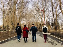 -长春公园(普阳街道)