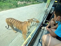 -西安秦岭野生动物园