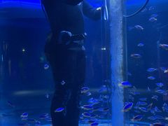 -海合安成都极地海洋公园