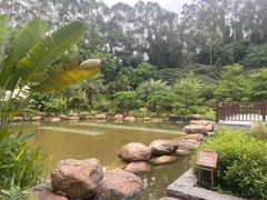 -南宁荔园维景国际酒店·荔园中餐厅