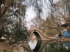 -百脉泉景区