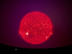 -贝林大翅鲸简餐厅(国家海洋博物馆店)