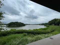 -海珠湖公园
