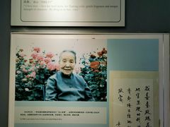 -烟台市博物馆