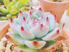 -剪刀石头布家居广场