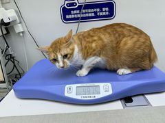 -拜鲁耶动物诊疗中心·宠家动物医院