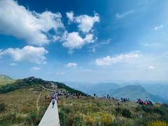 -白草畔自然风景区