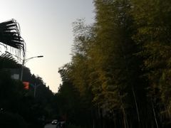 -明月山天沐温泉度假村