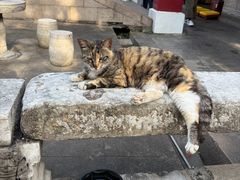 -迎江寺