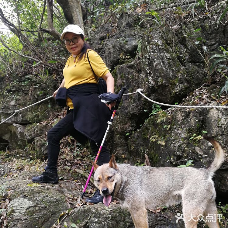 贵州荔波县茂兰，喀斯特地貌九洞天原始森林洞穴群穿越～