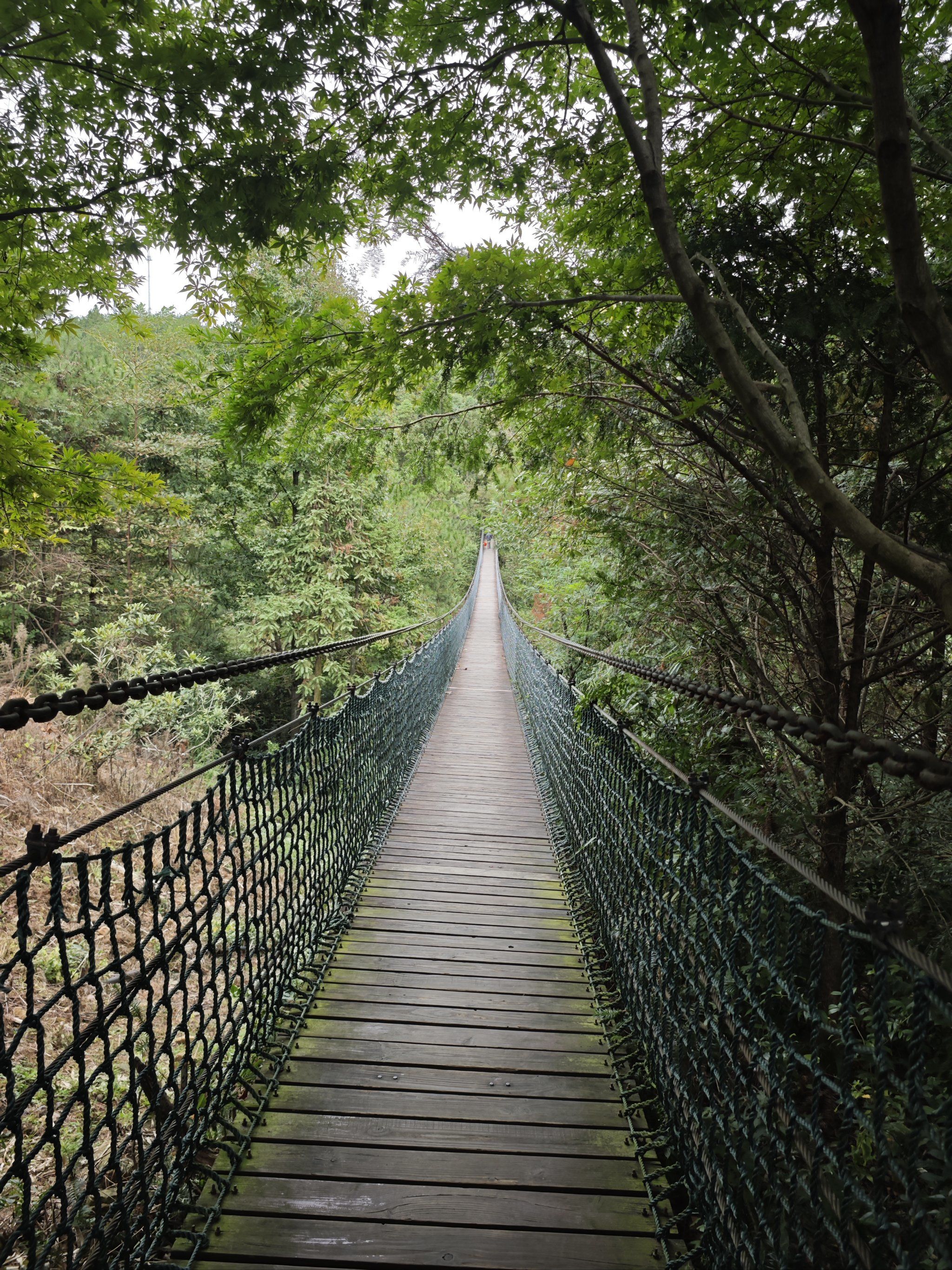 曲径通幽的山间路