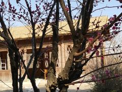 -苏州上方山国家森林公园