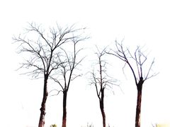 -钟山体育运动公园