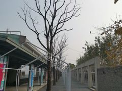 -苏州本色美术馆