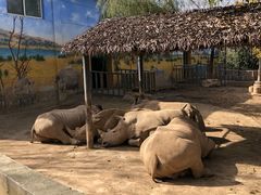 -西安秦岭野生动物园