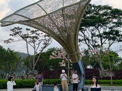 -白石龙音乐公园