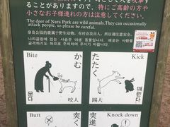 -奈良公园