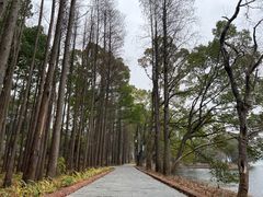 -东湖落雁景区