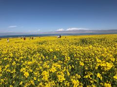 -青海湖国家重点风景名胜区