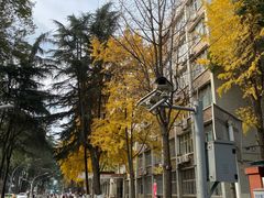 -四川大学(望江校区)