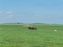 -呼和诺尔旅游景区