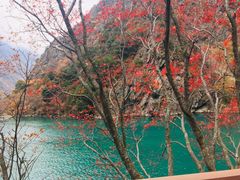 -叠溪松坪沟景区