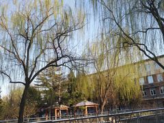 -黄村公园
