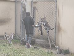 -合肥野生动物园