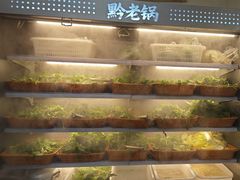 -黔老锅地摊火锅(盐务街店)