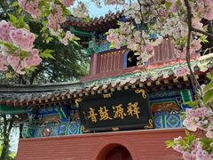 -洛阳白马寺