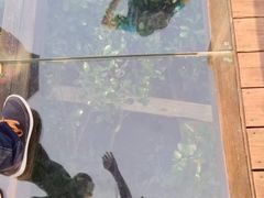 -东寨港红树林旅游区