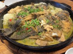 -老板恋上鱼(恒隆广场店)