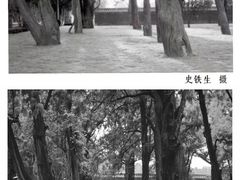 -地坛公园