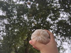 -艾溪湖湿地公园