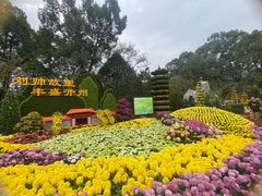 -南山植物园