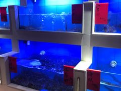 水产区-老蒲田·渔乡楼