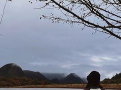 -大九湖