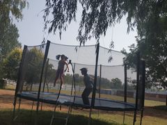 -歆和农庄·烤全羊