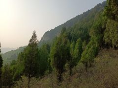 -四门塔风景区