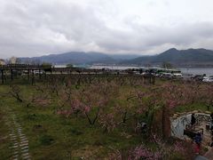 -河口景区