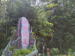 -东莞市大岭山森林公园