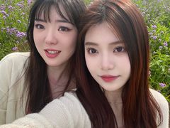 -合肥滨湖国家森林公园