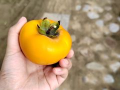 -丁村民俗博物馆